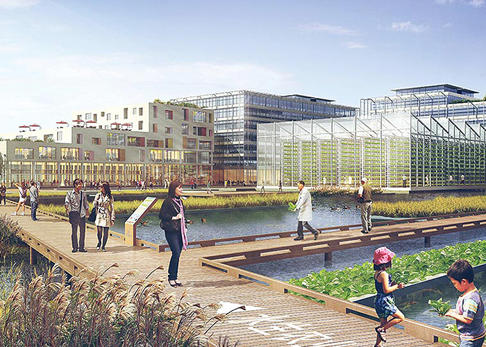Display Image for course: Urban Agriculture