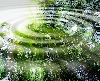 Image For Academy: Health and Well-Being